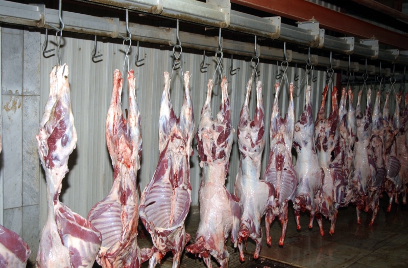 مقاطعة اللحوم واليوم الخامس  … تعفن اللحم داخل ثلاجة بالخرطوم