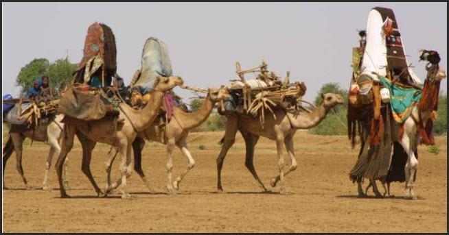 المنظمة العربية و الفاو تتبنيان مشروعاً ضحماً لتنمية دارفور