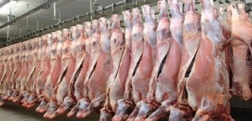 أسعار اللحوم تشهد ارتفاعاً بالأسواق عقب توقف الصادر