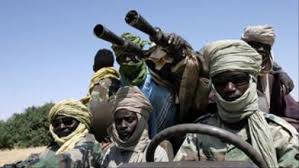 حركة تحرير السودان تعلن تأييدها ومساندتها للحكومة المقبلة