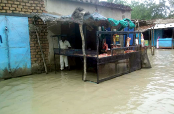 تضرر 127 مدرسة من السيول بولاية النيل الأبيض
