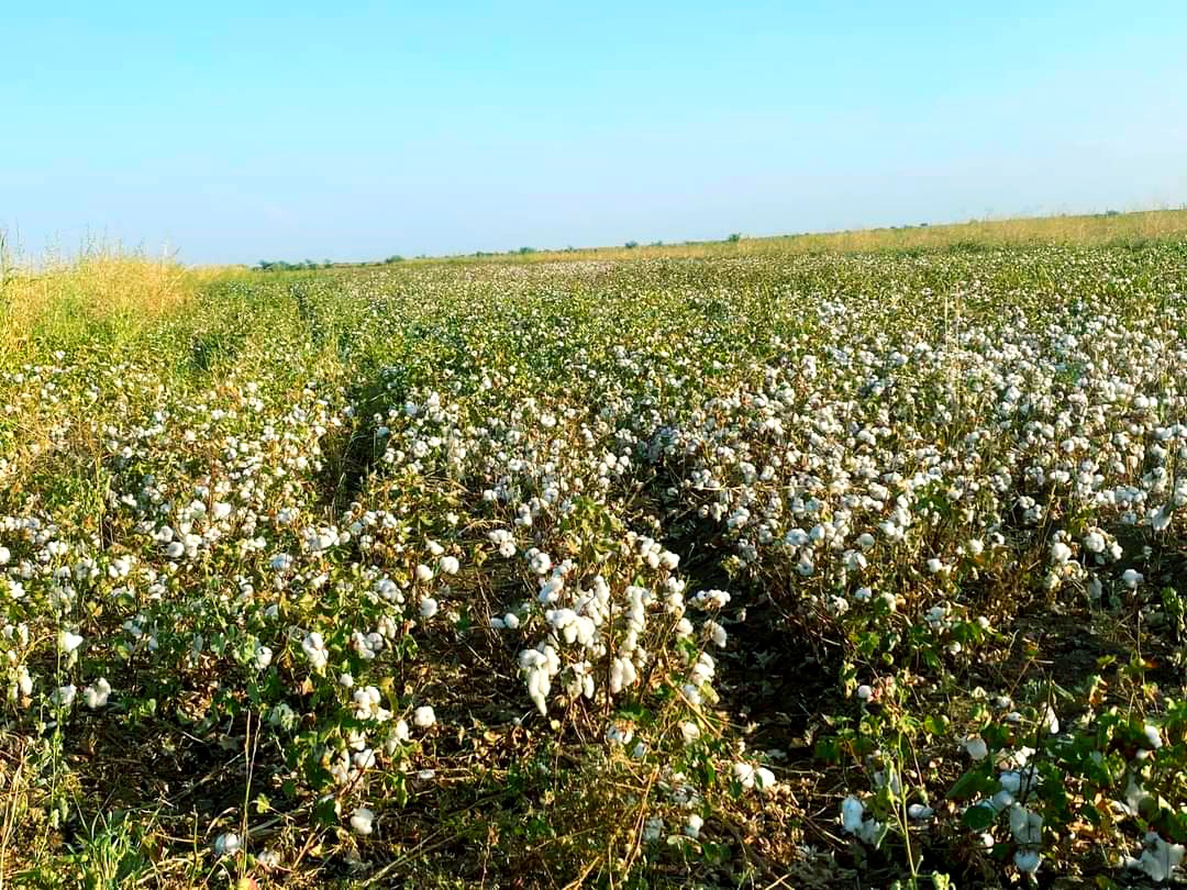 ٢٠٢١١٢٠٩ ٢٠٤٣٤٠