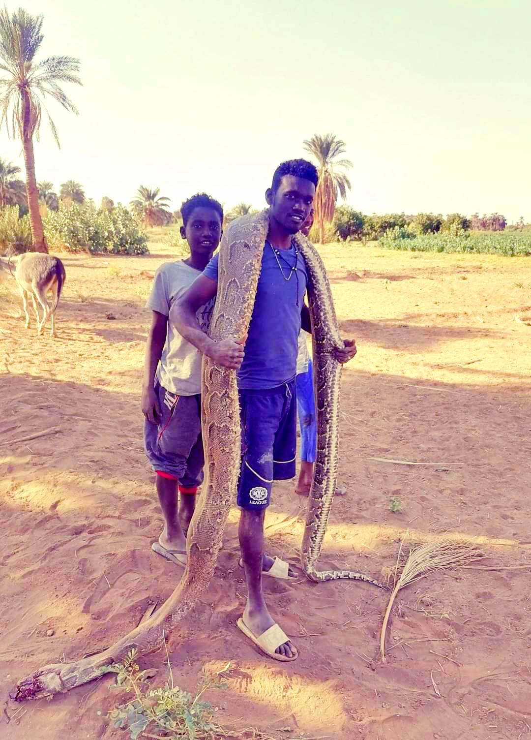 ٢٠٢٢٠٢٠٤ ١٥٣٣٠٧